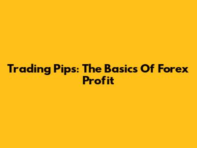 Trading Pips: The Basics Of Forex Profit