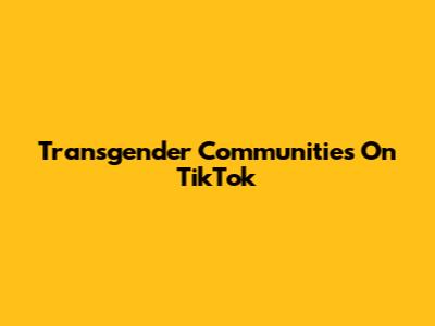 Transgender Communities On TikTok