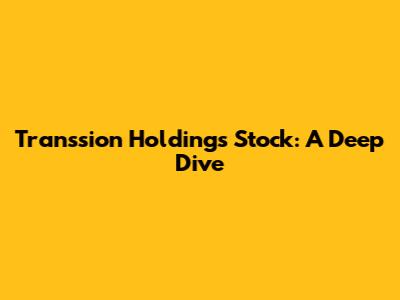Transsion Holdings Stock: A Deep Dive