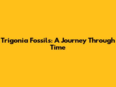Trigonia Fossils: A Journey Through Time