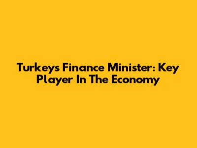 Turkey's Finance Minister: Key Player In The Economy