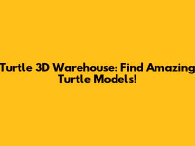Turtle 3D Warehouse: Find Amazing Turtle Models!