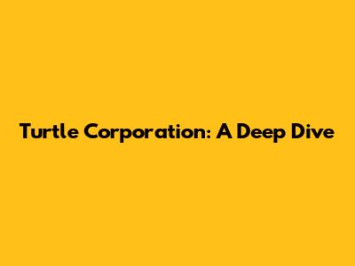 Turtle Corporation: A Deep Dive