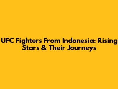 UFC Fighters From Indonesia: Rising Stars & Their Journeys