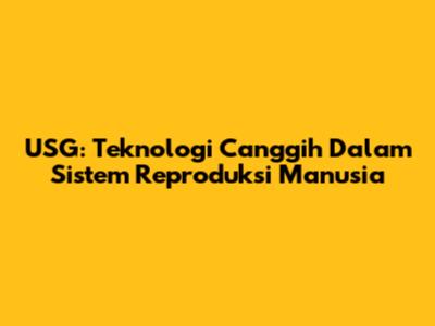USG: Teknologi Canggih Dalam Sistem Reproduksi Manusia
