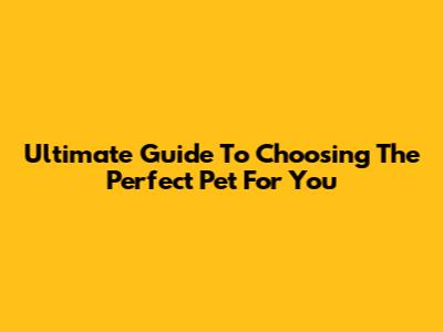 Ultimate Guide To Choosing The Perfect Pet For You