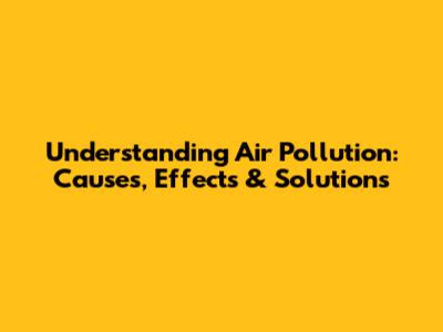 Understanding Air Pollution: Causes, Effects & Solutions