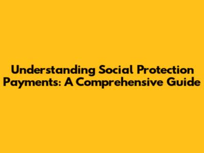 Understanding Social Protection Payments: A Comprehensive Guide