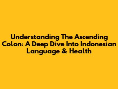 Understanding The Ascending Colon: A Deep Dive Into Indonesian Language & Health
