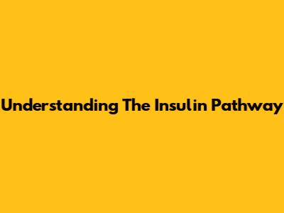 Understanding The Insulin Pathway