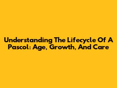 Understanding The Lifecycle Of A Pascol: Age, Growth, And Care