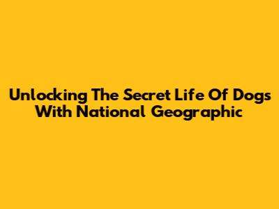 Unlocking The Secret Life Of Dogs With National Geographic