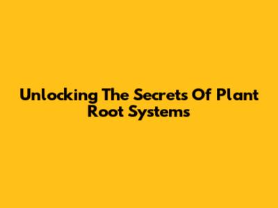 Unlocking The Secrets Of Plant Root Systems