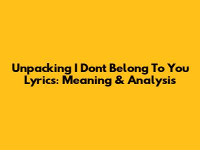 Unpacking 'I Don't Belong To You' Lyrics: Meaning & Analysis
