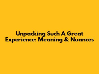 Unpacking 'Such A Great Experience': Meaning & Nuances