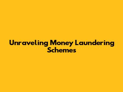 Unraveling Money Laundering Schemes