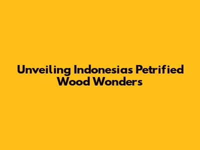 Unveiling Indonesia's Petrified Wood Wonders