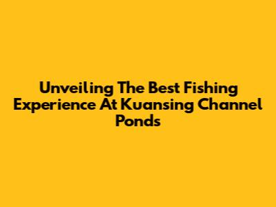Unveiling The Best Fishing Experience At Kuansing Channel Ponds