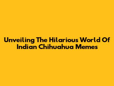 Unveiling The Hilarious World Of Indian Chihuahua Memes