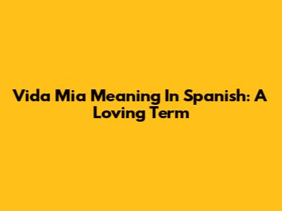 Vida Mia Meaning In Spanish: A Loving Term