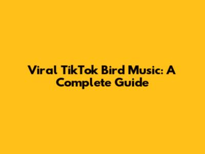 Viral TikTok Bird Music: A Complete Guide