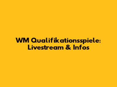 WM Qualifikationsspiele: Livestream & Infos