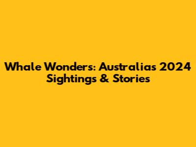 Whale Wonders: Australia's 2024 Sightings & Stories