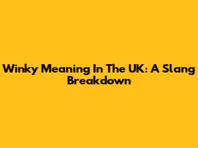 Winky Meaning In The UK: A Slang Breakdown