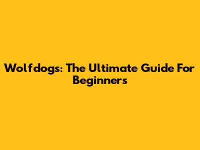 Wolfdogs: The Ultimate Guide For Beginners