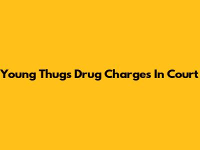 Young Thug's Drug Charges In Court