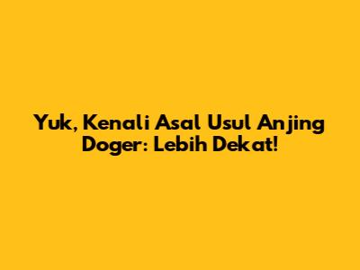 Yuk, Kenali Asal Usul Anjing Doger: Lebih Dekat!