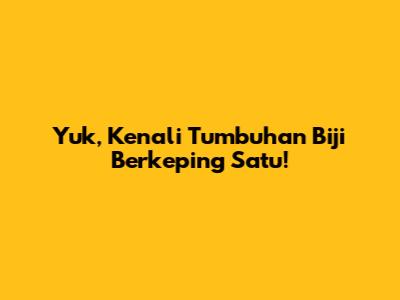 Yuk, Kenali Tumbuhan Biji Berkeping Satu!